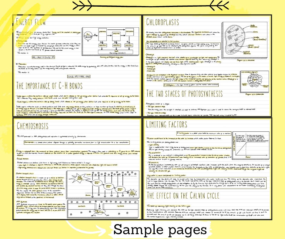 A Level Biology Revision Notes Bundle - “topic 17 - Photosynthesis” - Etsy