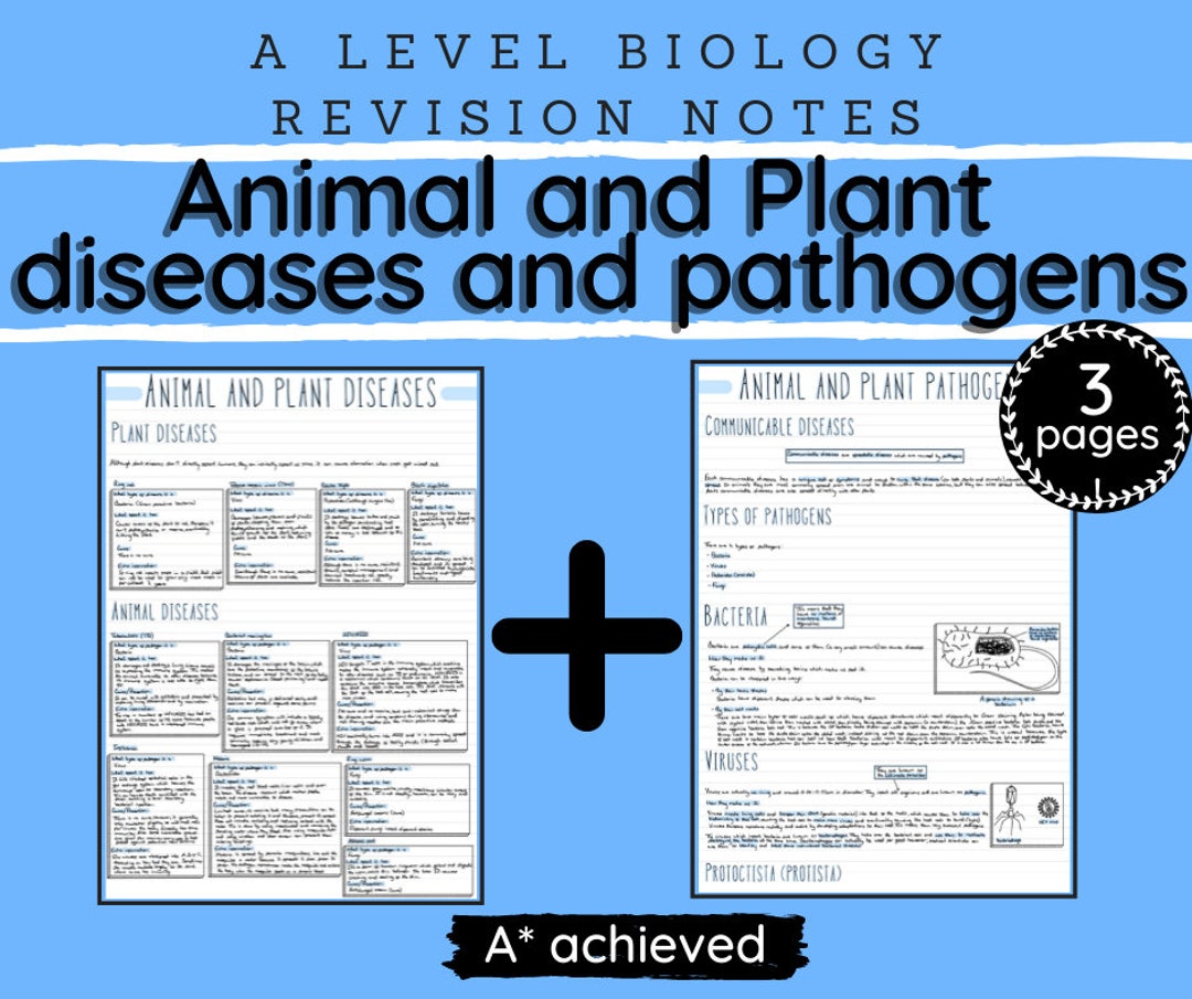 A Level Biology Revision Notes - “animal and Plant Diseases and ...