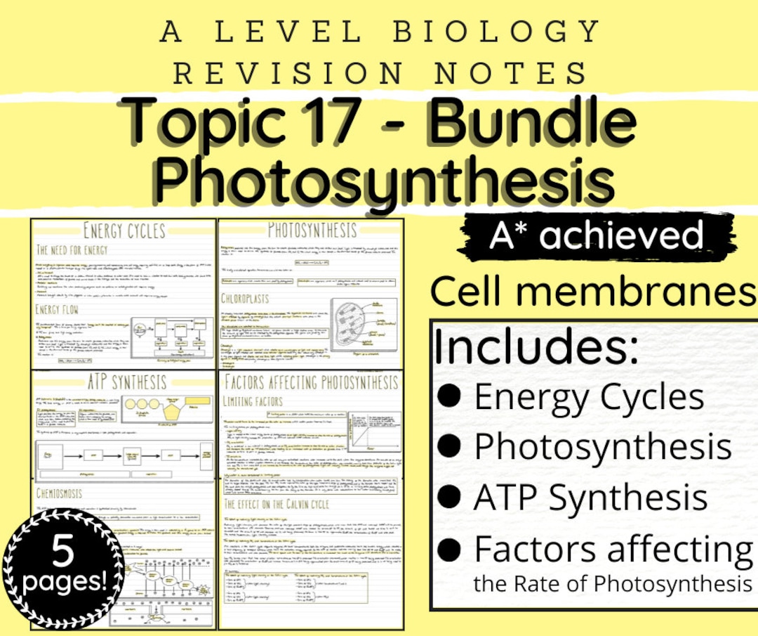 A Level Biology Revision Notes Bundle - “topic 17 - Photosynthesis” - Etsy