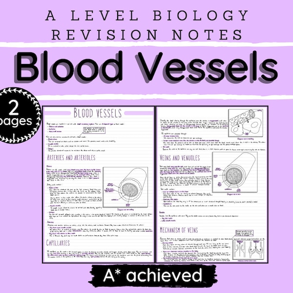 A Level Biology Revision Notes-"Blood Vessels"