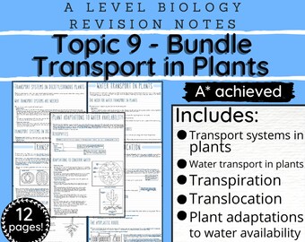 A Level Biology Revision Noteswater Transport in Plants - Etsy