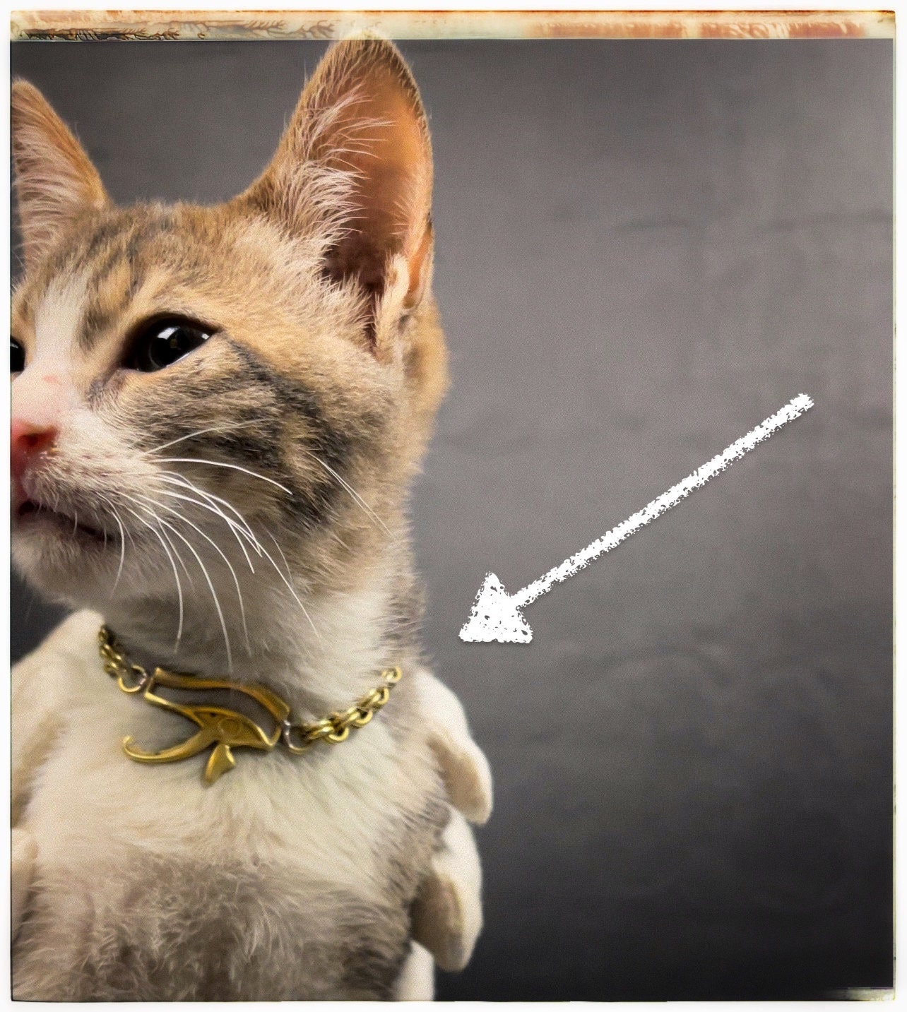 Egyptian Style Cat Collar