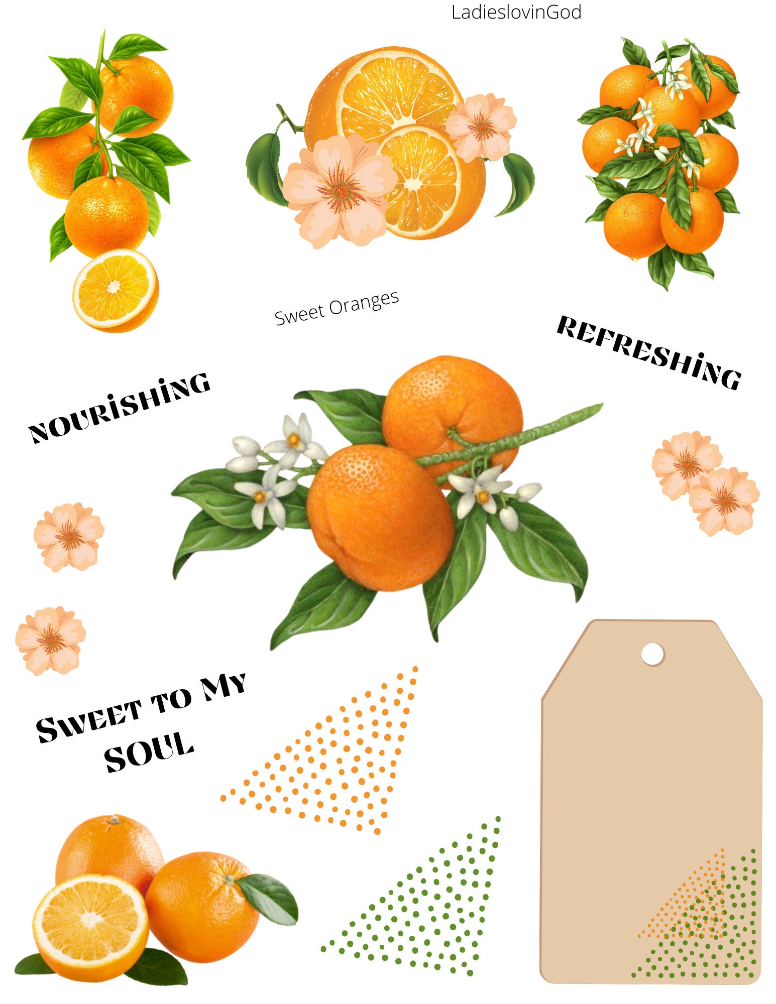 Sweet Oranges Etsy