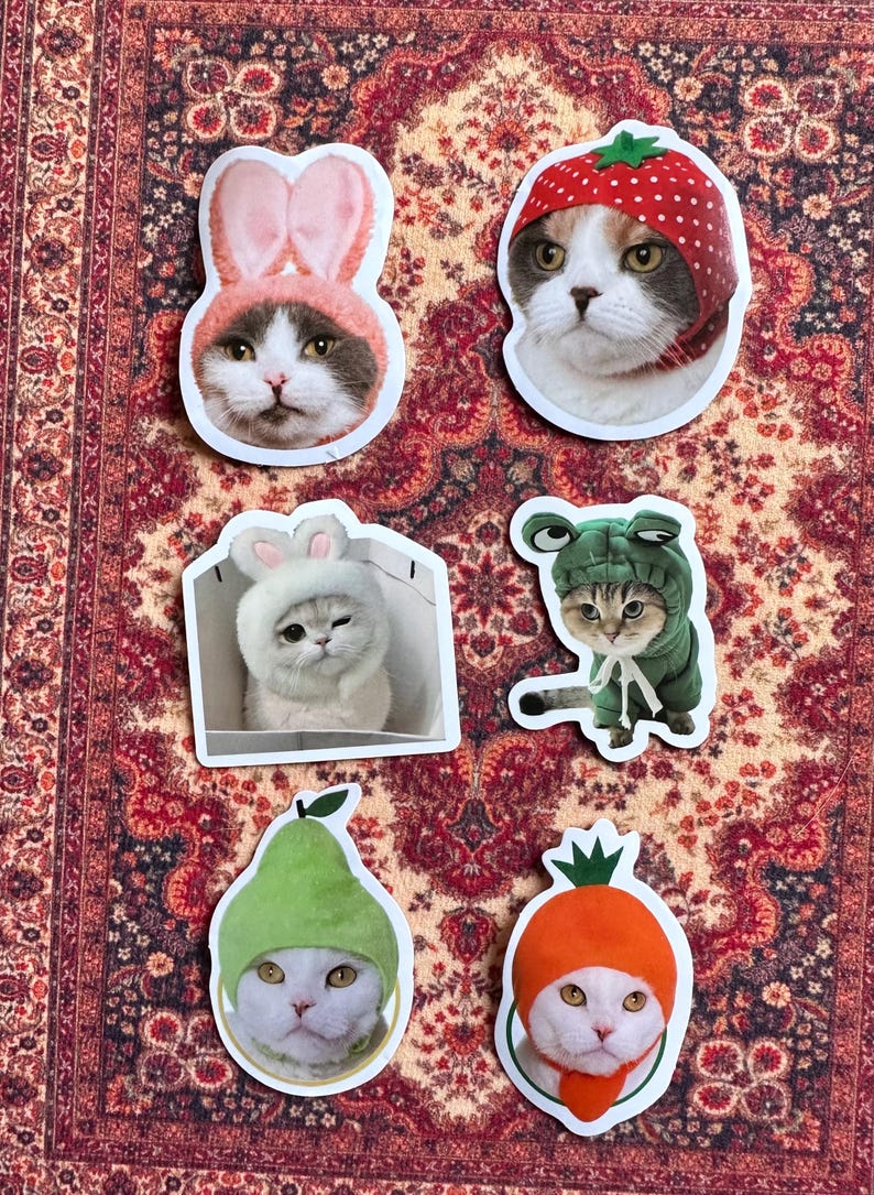 Funny Cat Sticker Set of 6 Cats in Costumes (bunny, Strawberry, Frog ...