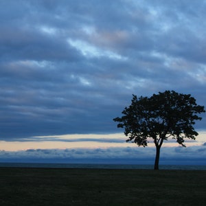 Silhouette of a Storm | Photograph | Canvas or Print
