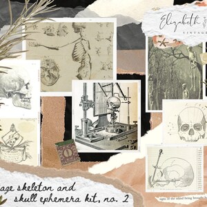 vintage ephemera kit || vintage skull ephemera || vintage skeleton ephemera || vintage junk journal || vintage scrapbook art || grimoire art
