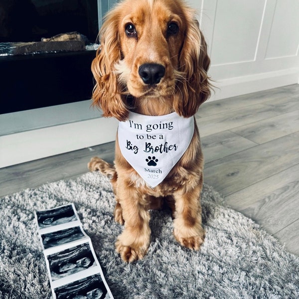 Personalised Pregnancy Announcement Dog Bandana- ‘I’m going to be a big sister/brother/ personalised/ Puppy/ Pregnancy Reveal/ Sibling