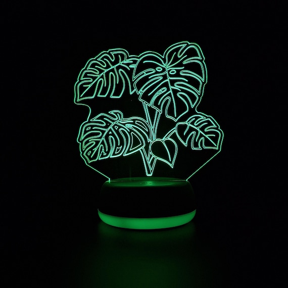 split leaf monstera deliciosa Split-Leaf Monstera – A Botanical Blessing main image 0
