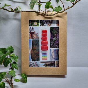 May include: A set of five red press-on nails in a clear plastic case. The nails are arranged vertically in the case.