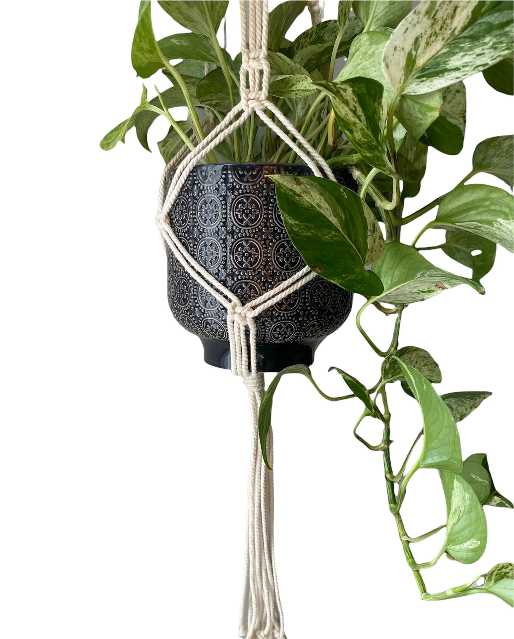 Très Grande Suspension Pour Plantes en Macramé - Plant Hanger