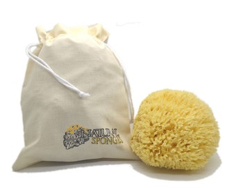 8 cm naturlig grekisk havssvamp av bikaketyp från NaturalSponges
