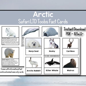 Toob arctique | Safari LTD | Cartes d'identité | Cartes d'information | Animaux de l'Arctique | Cartes assorties d’animaux | Montessori | TÉLÉCHARGEMENT INSTANTANÉ