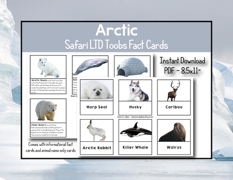 Arctic Toob | Safari LTD | Identification Cards | Fact Cards | Arctic ...