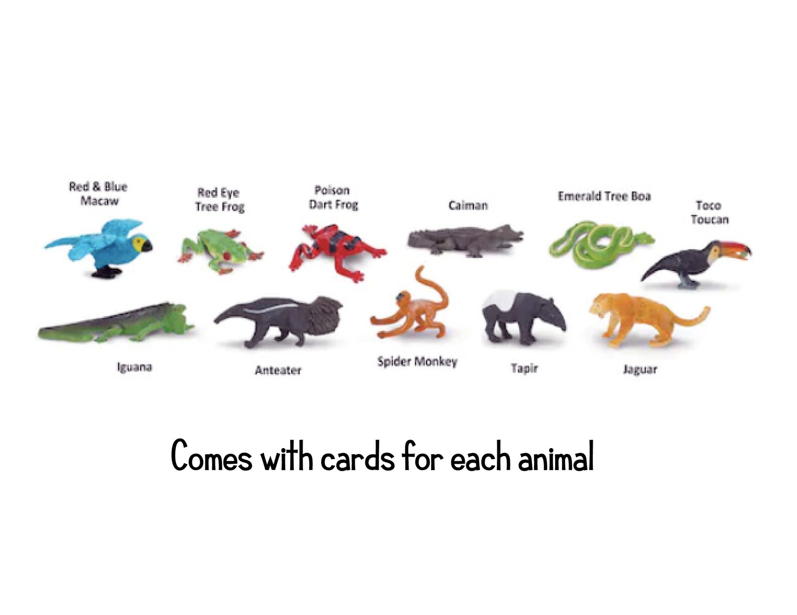 Rainforest Toob | Safari LTD | Identification Cards | Fact Cards ...