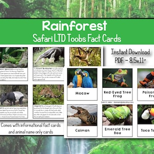 Rainforest Toob | Safari LTD | Identification Cards | Fact Cards | Jungle Animals | Animal Matching Cards | Montessori | INSTANT DOWNLOAD
