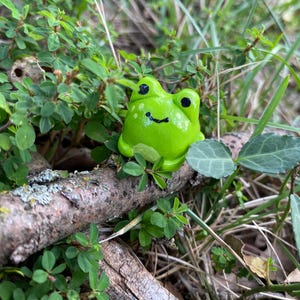 Handmade clay frog figure