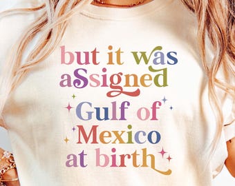 Camiseta do Golfo do México, camiseta anti-Trump, mas foi designada como "Golfo do México ao nascer", camiseta engraçada do Golfo do México, camiseta de presente democrata