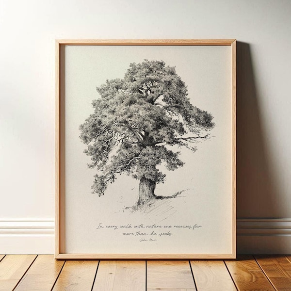 John Muir Quote with Vintage Tree Print | Minimalist Nature Art, Ecology Gift for Him | Hiker Gift | Rustic Decor | Fine Art Print or Canvas