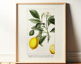 Fruit of the Spirit: Galatians 5 | Christian Wall Art for Kitchen, Scripture, Bible Verse Framed Art Print or Canvas