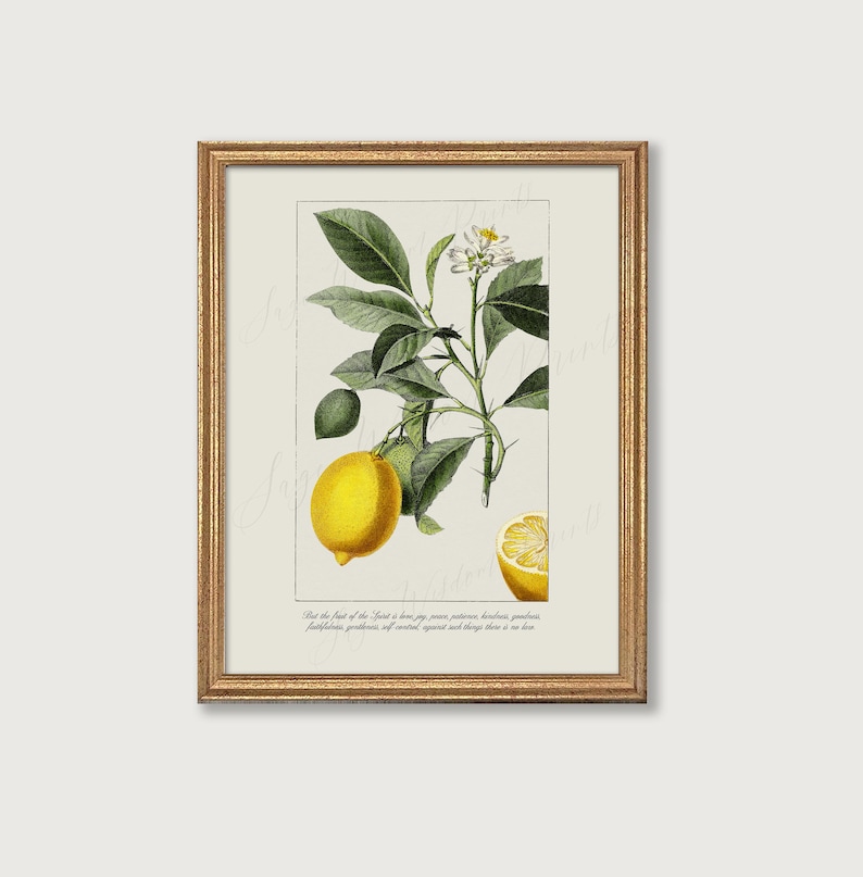 Fruit of the Spirit Printable Christian Wall Art | Galatians 5:22 Vintage Style Bible Verse Art, Lemon Print for Kitchen | Digital Download