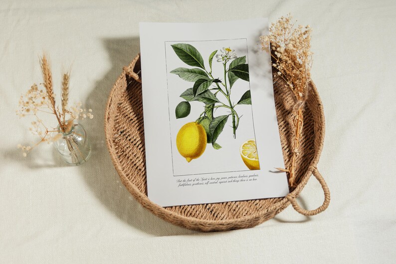 Fruit of the Spirit Printable Christian Wall Art | Galatians 5:22 Vintage Style Bible Verse Art, Lemon Print for Kitchen | Digital Download