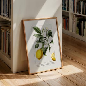 Fruit of the Spirit | Christian Wall Art | Galatians 5:22 | Vintage Scripture Decor | Lemon Wall Art | Digital Download