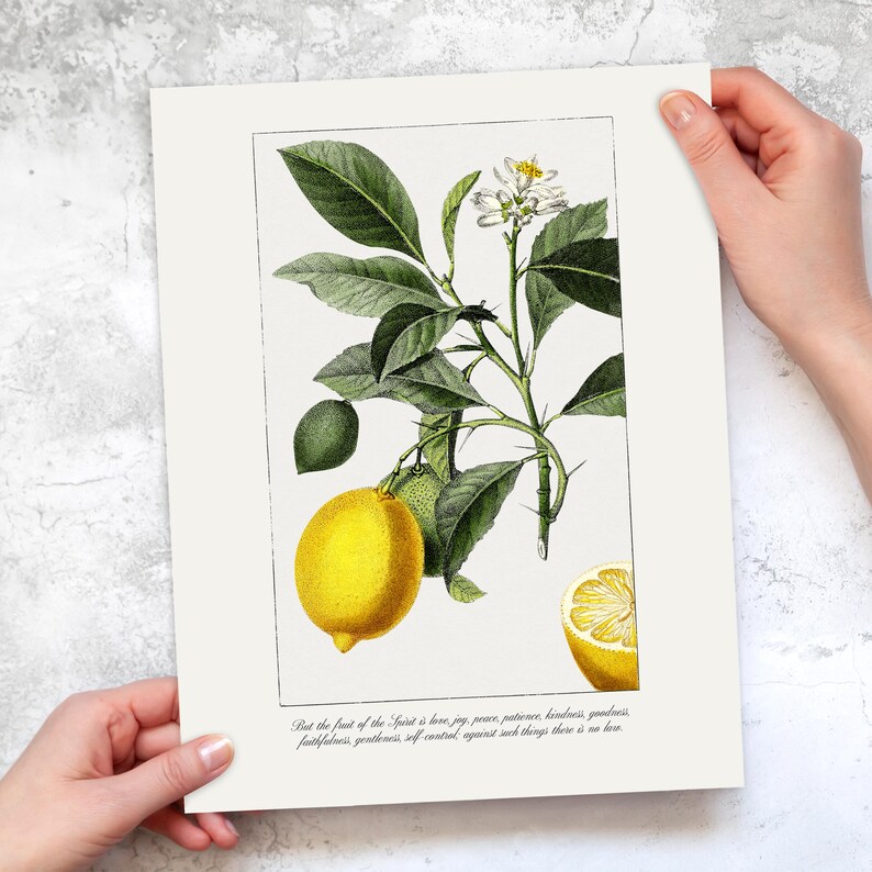 Fruit of the Spirit Printable Christian Wall Art | Galatians 5:22 Vintage Style Bible Verse Art, Lemon Print for Kitchen | Digital Download