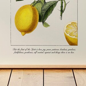 Fruit of the Spirit Printable Christian Wall Art | Galatians 5:22 Vintage Style Bible Verse Art, Lemon Print for Kitchen | Digital Download