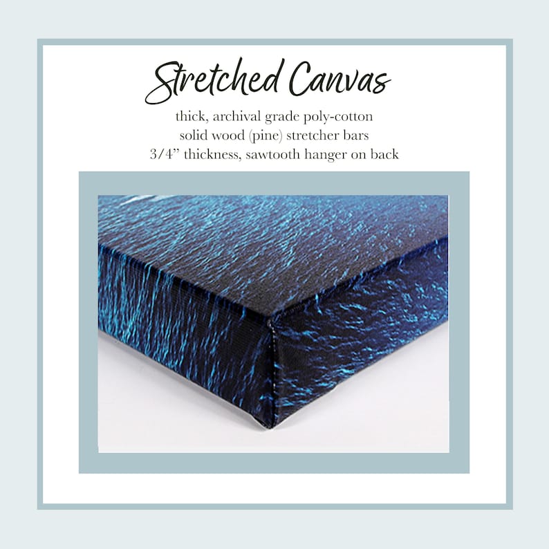 stretched canvas info - thick polycotton, hand stretched over solid wood stretcher bars, 3/4" thickness, sawtooth hanger
