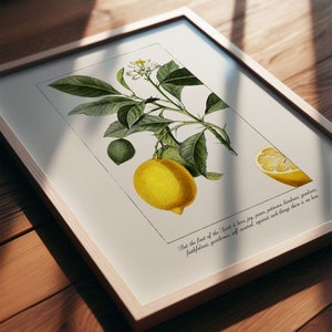 Fruit of the Spirit | Christian Wall Art | Galatians 5:22 | Vintage Scripture Decor | Lemon Wall Art | Digital Download