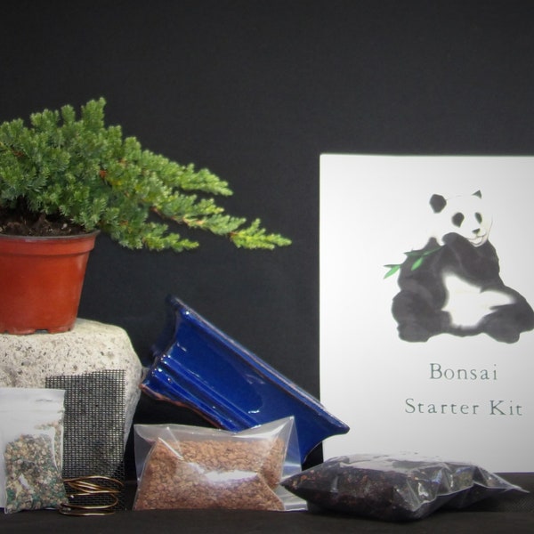 Bonsai Starter Kit