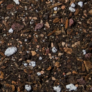 Premium Bonsai Tree Soil