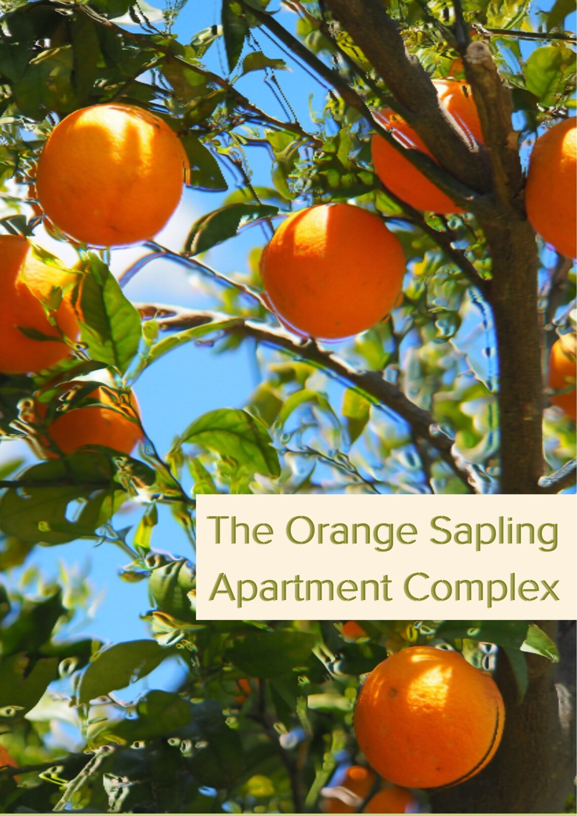 The Orange Sapling Apartment Complex Etsy
