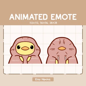 Animated Emote Cute Chick Is Hiding and Revealing His Face With His Hoodie - Cartoon Emote - Funny Emote for Streaming - Ready to Use