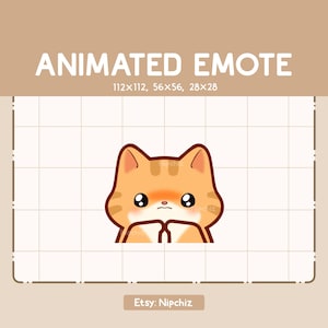 Animated Emote Orange Tabby Cat Shy and Begging / Cute Funny Emote / Adorable Kawaii Emote / Ready to Use