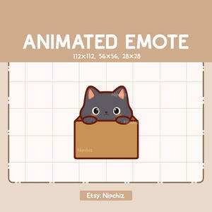 Animated Cute Emerge Black Cat from Cardboard Emote / Kawaii Emote / Adorable Emote for Streaming / Ready to Use