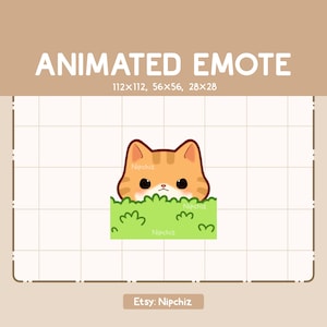 Emote animado: Gato atigrado naranja escondido que aparece entre los arbustos. Emote adorable. Emote divertido para streaming. Emote kawaii.