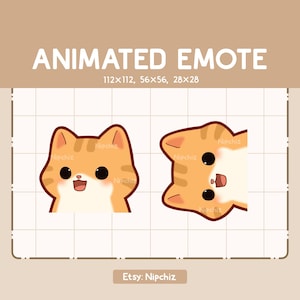 Animated Emote Cute Surprising Orange Tabby Cat is Appearing From All Angle / Kawaii Cute Emote / Ready to Use / Emote for Streaming