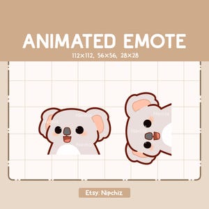 Emoticono animado: Un koala lindo y sorprendente aparece desde todos los ángulos. Emoticono chibi adorable. Emoticono de dibujos animados kawaii.