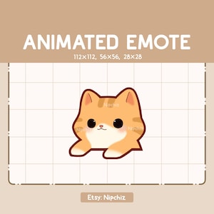 Animated Emote Orange Tabby Cat Slapping a Table / Cute Funny Emote / Adorable Kawaii Emote / Ready to Use