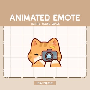 Animated Emote Cute Orange Tabby Cat is Taking a Picture With His Camera / Kawaii Cartoon Emote / Chibi Emote For Streamer / Ready to Use