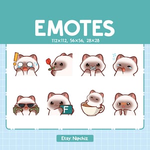 Urocze emotikony syjamskiego kota | 8 emotikonów dla streamerów | Pakiet uroczych emotikonów syjamskiego kota | Zabawne emotikony