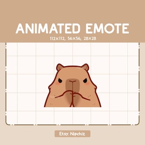 Emote animée Capybara mignonne a un plan avec un visage intrigant - Emote Chibi adorable - Emote Kawaii pour le streaming - Emote dessin animé