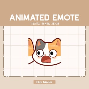 Animated Emote Chibi Shocked Calico Cat is surprised - Chibi Cartoon Emote - Ready to Use - Funny Emote