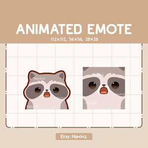 Animated Emote Cute Zoomed In Raccoon is Being Astonished / Adorable Cartoon Emote / Ready to Use / Cute Emote