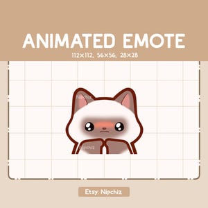 Emoticono animado de adorable gato siamés tímido y suplicante: emote chibi para streamer: lindo emote de dibujos animados, listo para usar