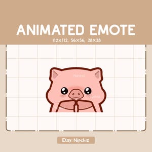 Gesto animado: cerdito adorable y tierno, tímido y suplicante. Gesto de dibujos animados de Chibi. Listo para usar. Gesto divertido.
