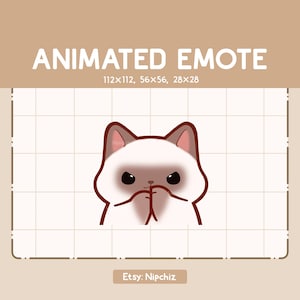 Animated Emote Siamese Has a Plan with Scheming Face / Kawaii Cartoon Emote / Chibi Emote For Streamer / Ready to Use