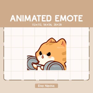 May include: Animated emote of a cartoon orange cat lifting weights. The cat has a determined expression on its face and is wearing a pink collar.