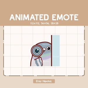 Emote animado Chibi: Paloma curiosa con lupa que examina desde detrás de la pared / Adorable emote de dibujos animados / Listo para usar